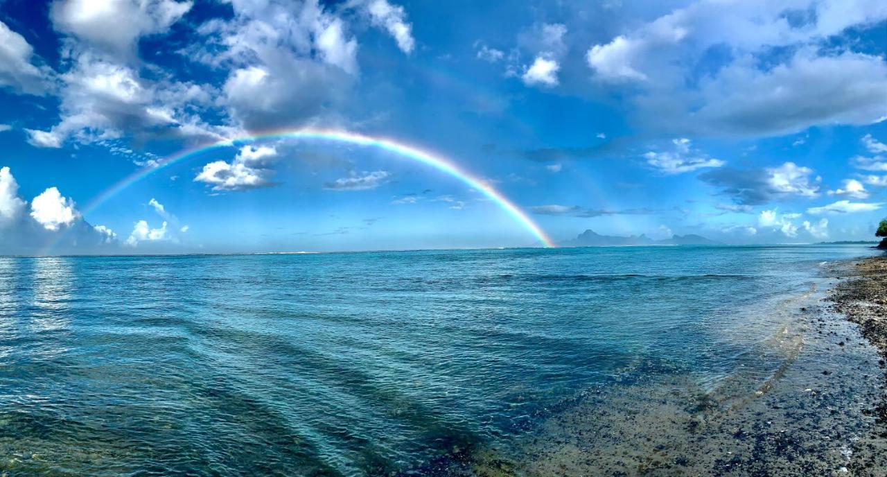 Superbe Bord De Mer, Acces Lagon Et Piscine Privee Paea Esterno foto